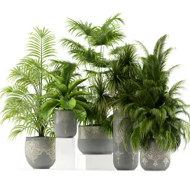 Plants collection handmade pots east style